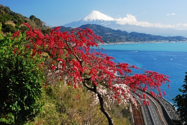 🏞️ 삿타 고개(삿타토게) 이미지 1